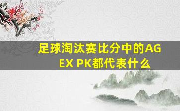 足球淘汰赛比分中的AG EX PK都代表什么